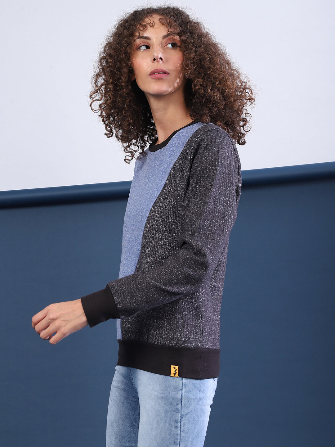 Contrast Panel Sweatshirt