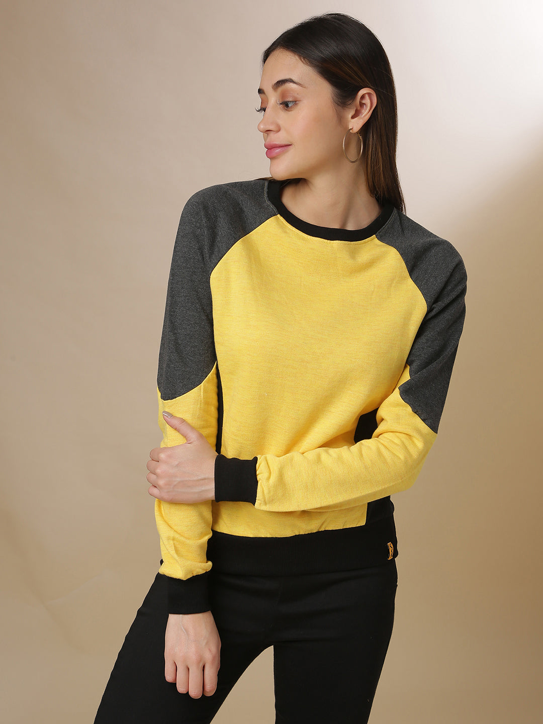 Color Block Sweatshirt